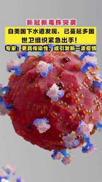 法国南部发现新冠病毒新毒株是什么(最新的新冠病毒毒株叫什么名字)
