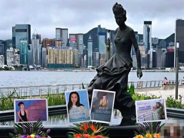 梅艳芳为什么没结婚会得宫颈(梅艳芳为什么放弃治疗)