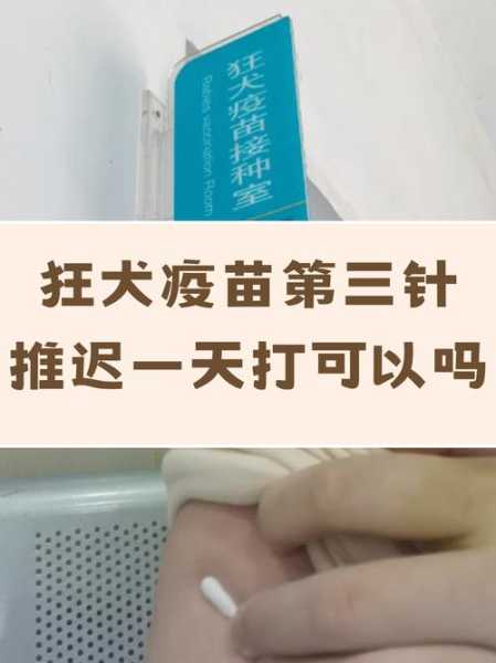新冠疫苗第一针和第二针间隔时间(狂犬疫苗第二针晚了11天)