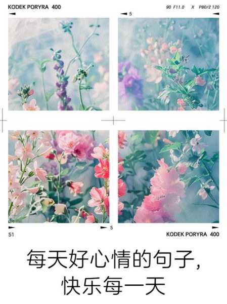 心情好的句子唯美短句，心情美好的句子