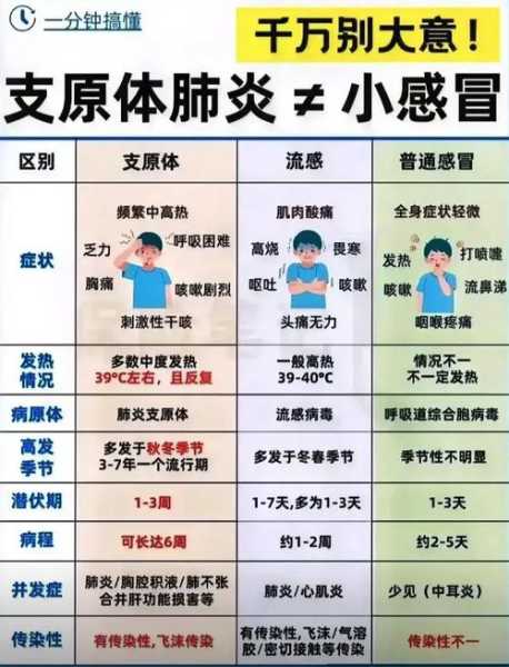2024年底流感症状，2025流感病毒症状