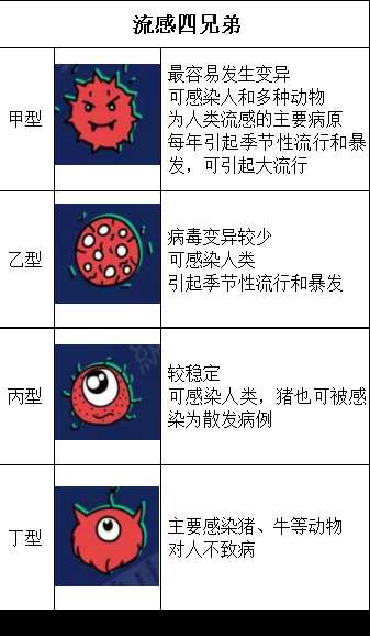 2024年流感病毒是什么型病毒(流感a病毒是什么意思)