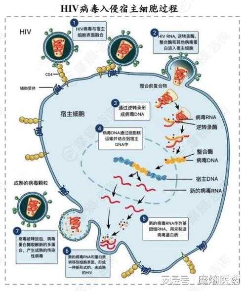 2024年6月流行病毒,2024年流行的病毒叫什么