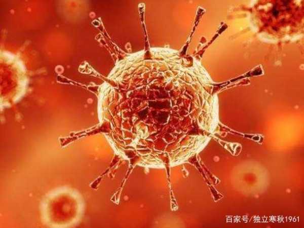 新疆这次新冠病毒叫什么，新冠病毒叫什么