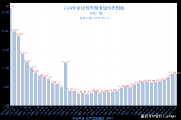 2024全国新冠人数一览表，2020年新冠感染人数