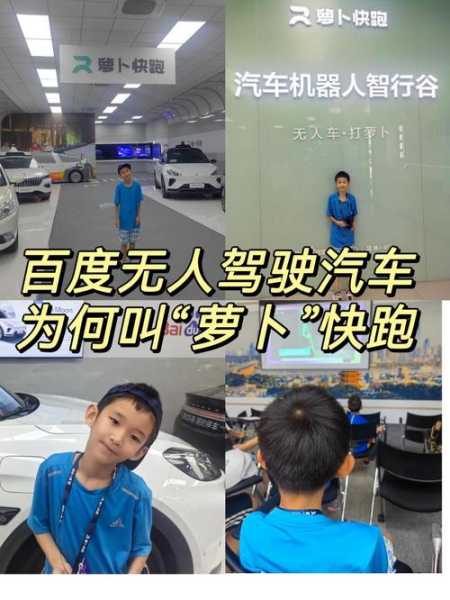 全自动无人驾驶汽车报价,全自动无人驾驶