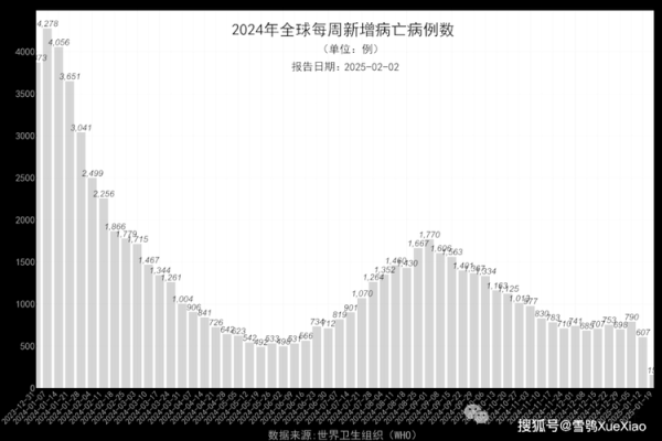 新冠疫情死亡人数消息,新冠疫情死去多少人