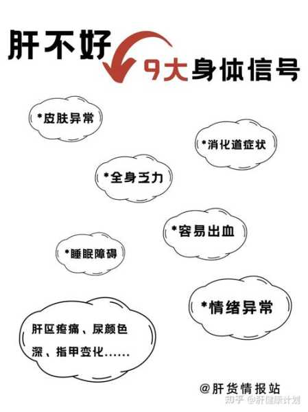 身体出现哪些异常是肝脏在预警（肝脏预警六大信号是什么）