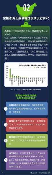 2024现在是什么病毒，现在出现了什么病毒