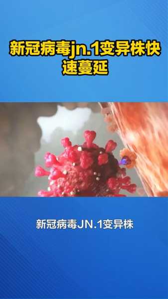 2024年11月新冠，2024年1月新冠JN.1