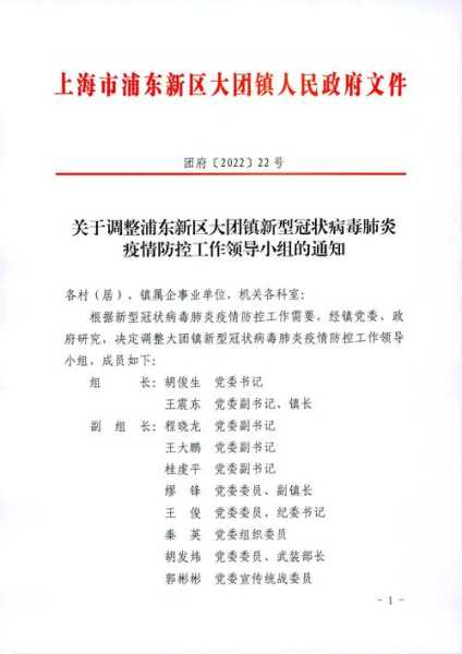 浦东新区疫情最新消息,浦东大团镇最新消息