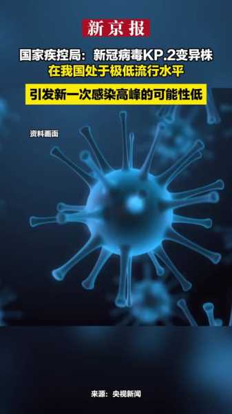 2024年7月新冠病毒，2023年新冠病毒