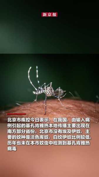 北京还有病毒感染没有，北京什么病毒感染