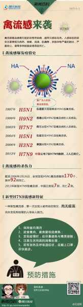 北京h7n9最新消息,h7n9禽流感最新消息香蕉