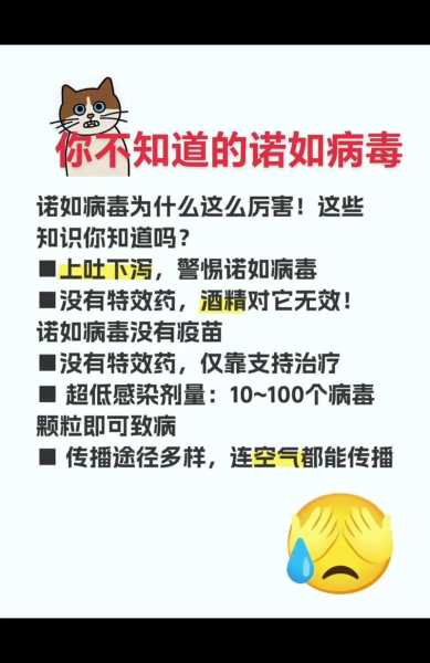 北京诺如病毒最新消息，北京哪里可以做诺如病毒检测