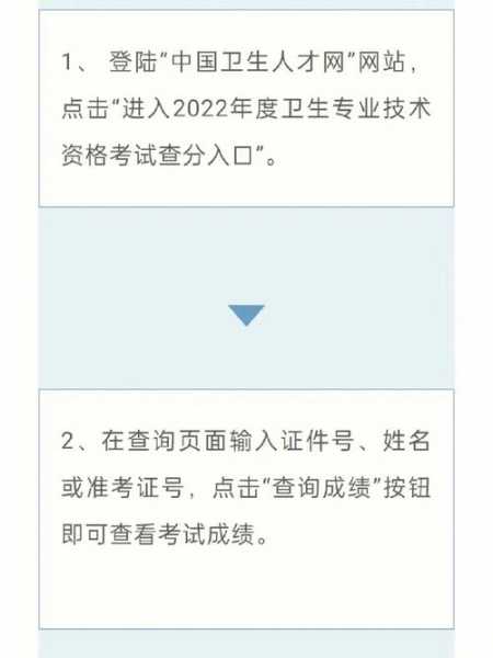 卫生人才网官网成绩查询，中国卫生人才网