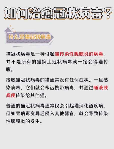 猫会感染新型冠状病毒吗，犬冠状病毒会传染给猫吗