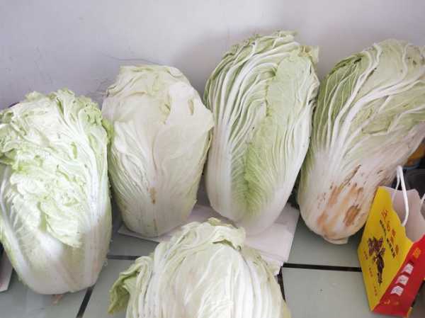 疫情期间白菜多少钱一斤，白菜一般一斤多少元