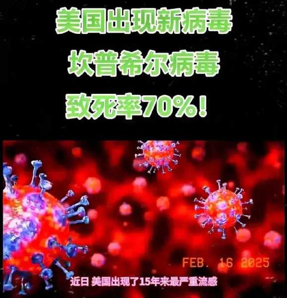 2025年马来西亚新冠，2025年马来西亚甲流情况