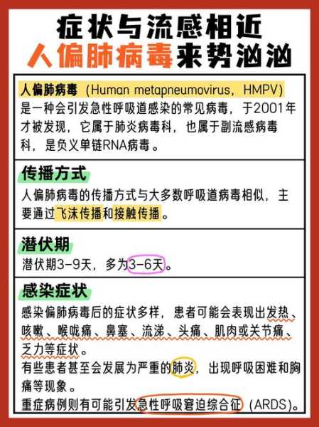 什么是偏肺病毒严重吗,人类偏肺病毒严重吗