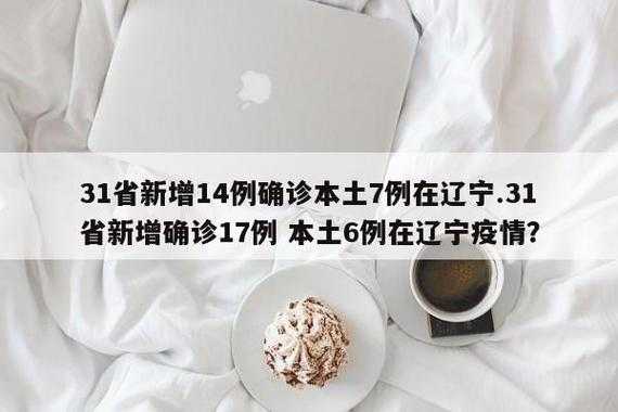 31省份新增12例确诊，31省区市增17例病例