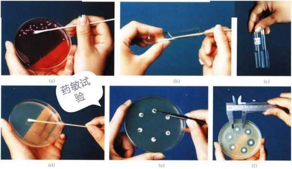 金准医学检验实验室电话,金匙医学检验实验室